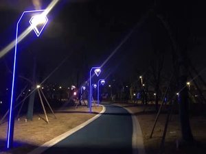 公园景观庭院灯安装案例